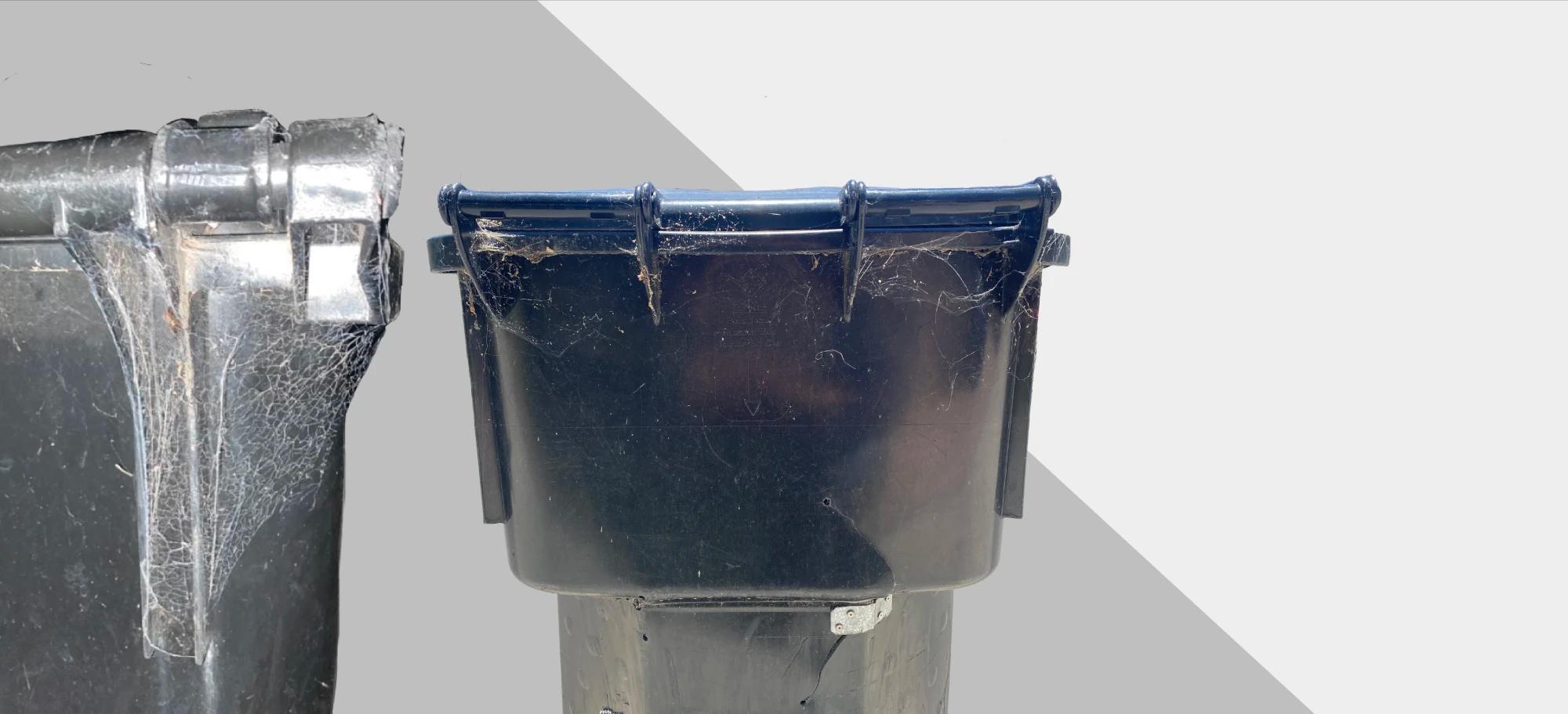 Spiders on trashcans